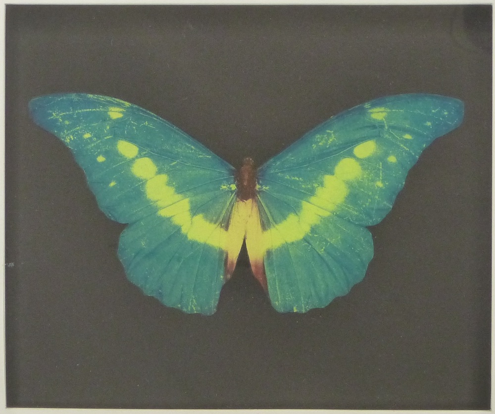 Damien Hirst (British B1965) Signed Butterfly Print Sold Ś3,800
